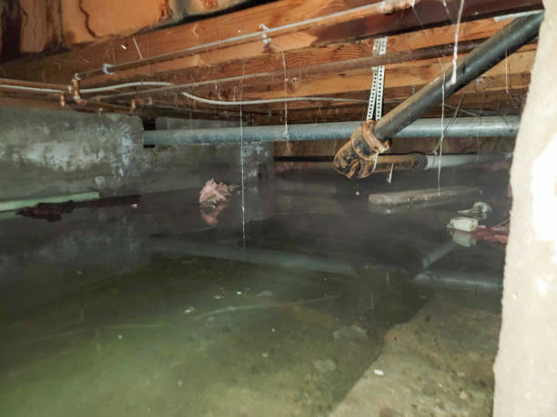 Best Flood restoration services  in Clay City, IN