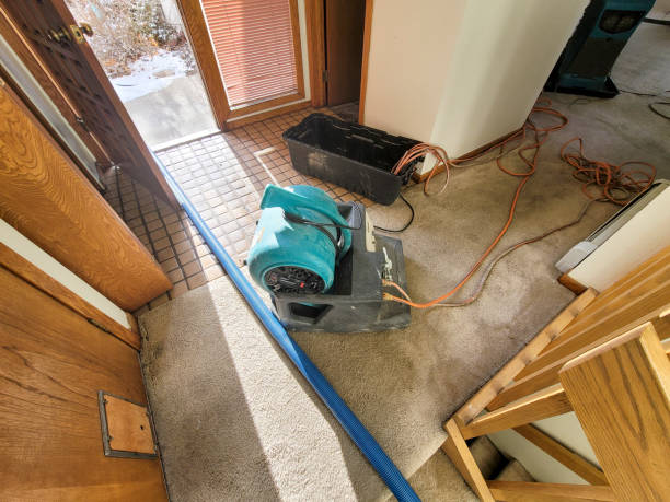 Best Fire Damage Restoration  in Clay City, IN