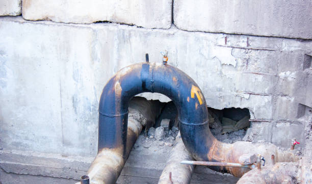 Best Flood damage cleanup  in Clay City, IN