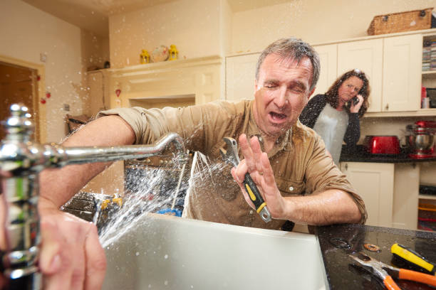 Best Basement water damage restoration  in Clay City, IN
